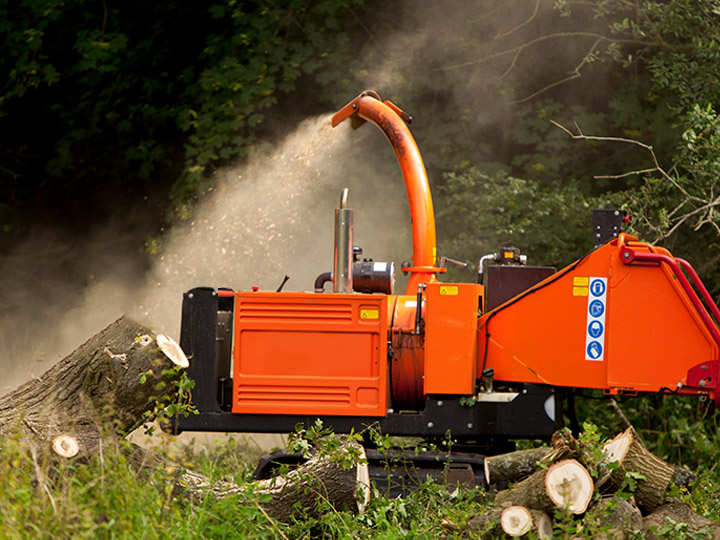 العشب والحديقة